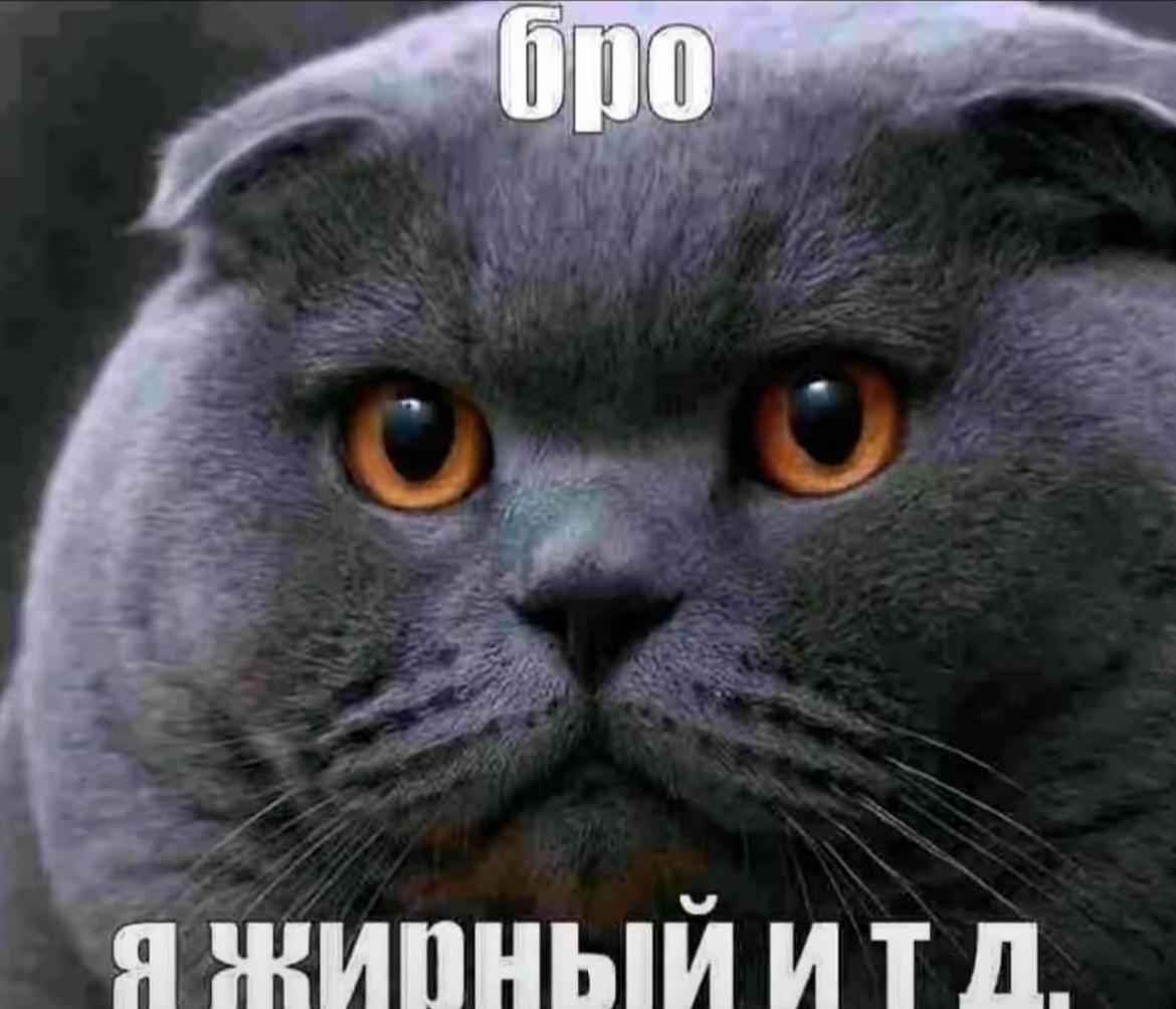 @13бешеный малый37