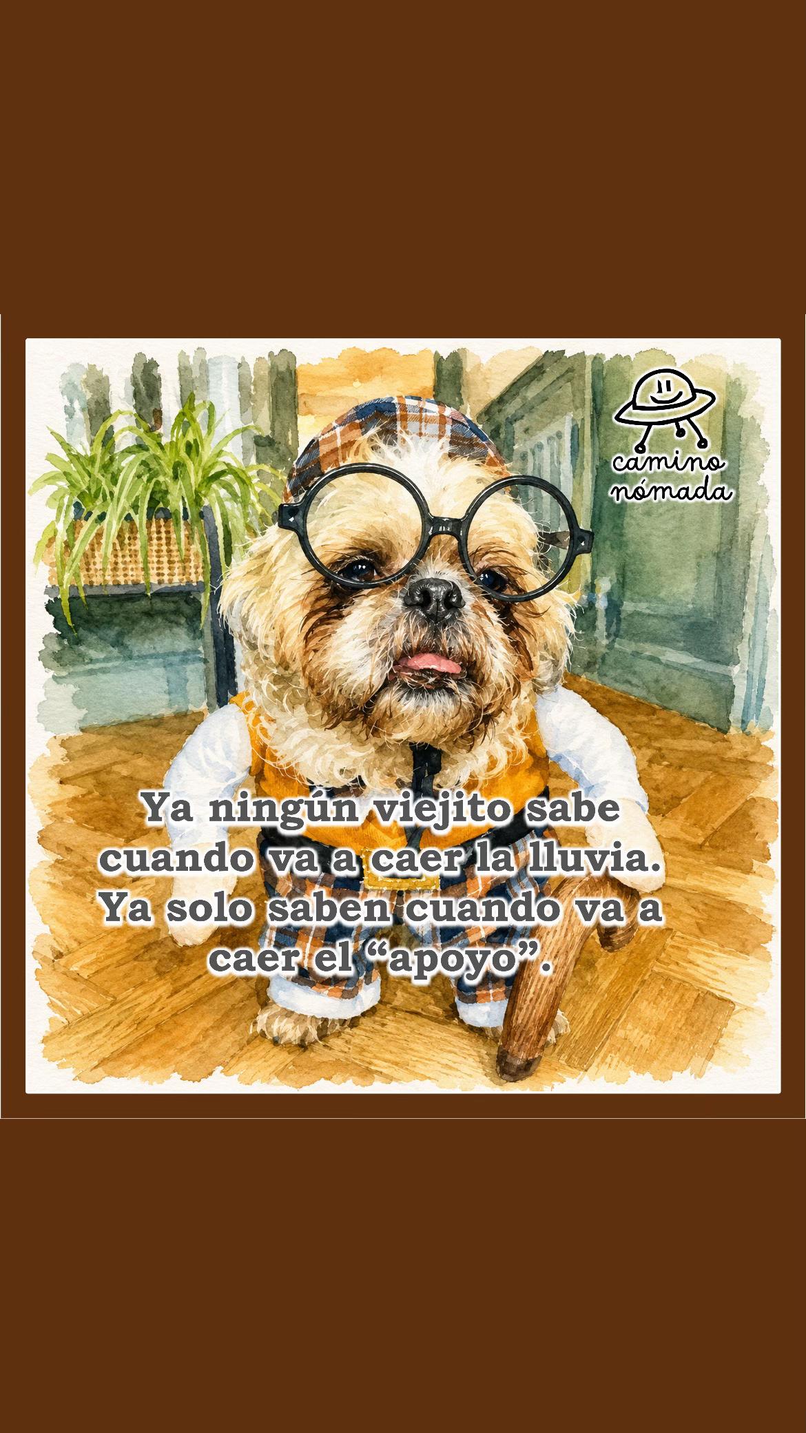 @Camino Nómada