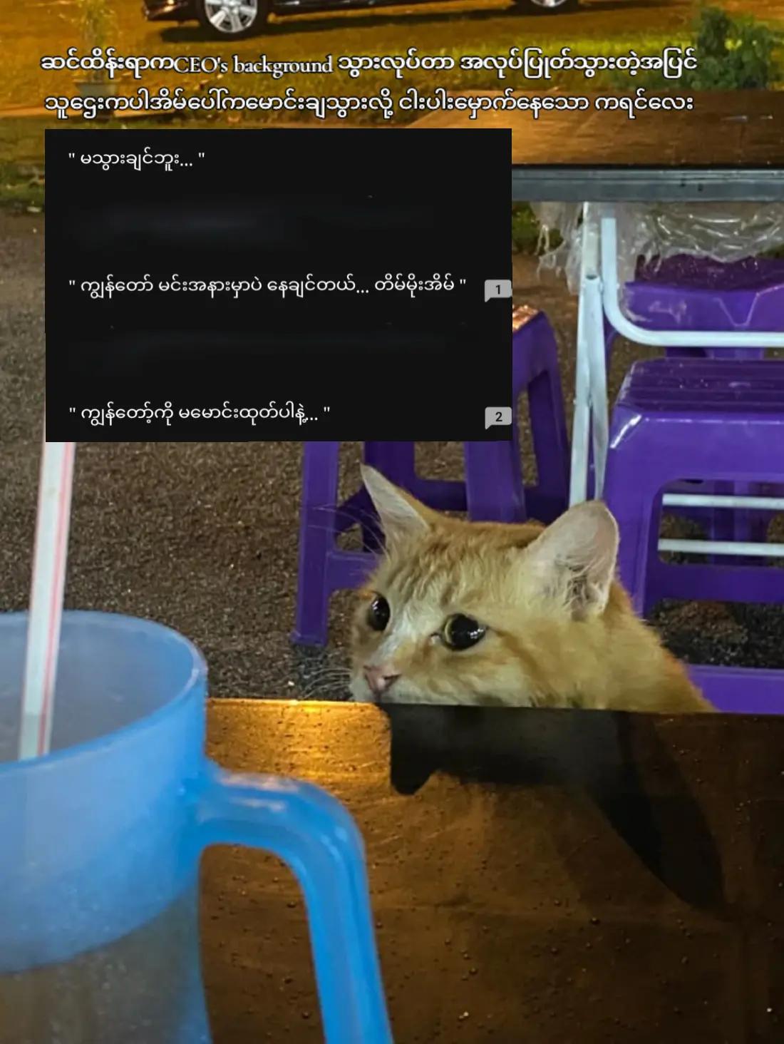 @kyawt