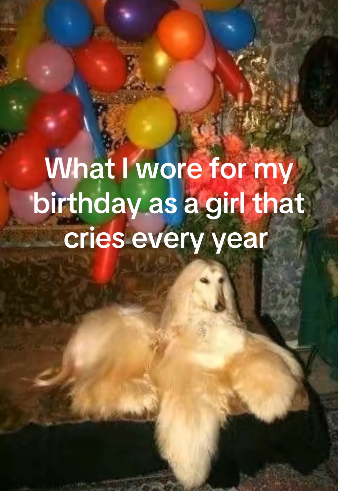 @__kdolll