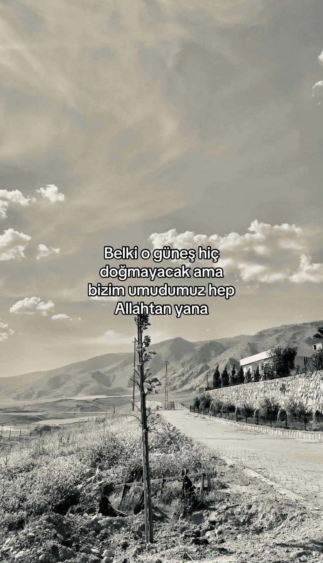 @🕊️