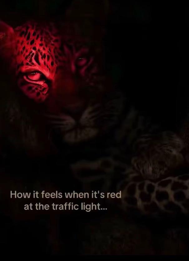 @𝓐𝓷𝓲𝓽𝓪💋