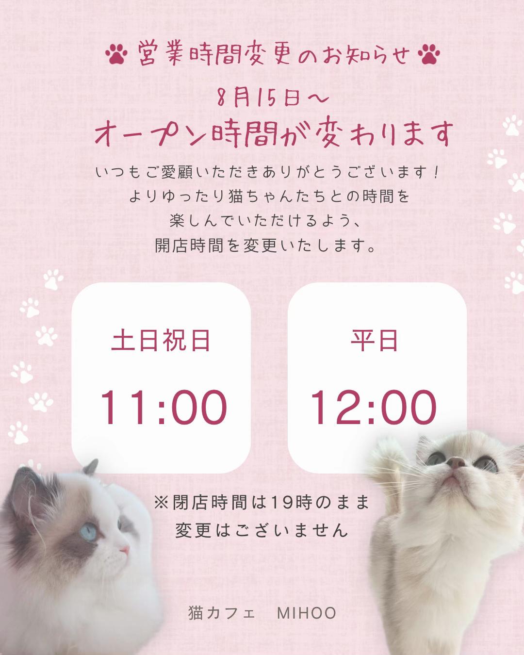 @MIHOO猫カフェ(美頰ネコ)