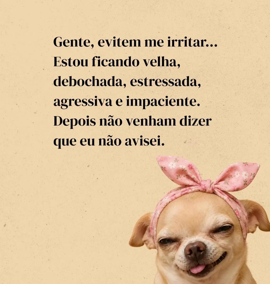 @Paula Vitti