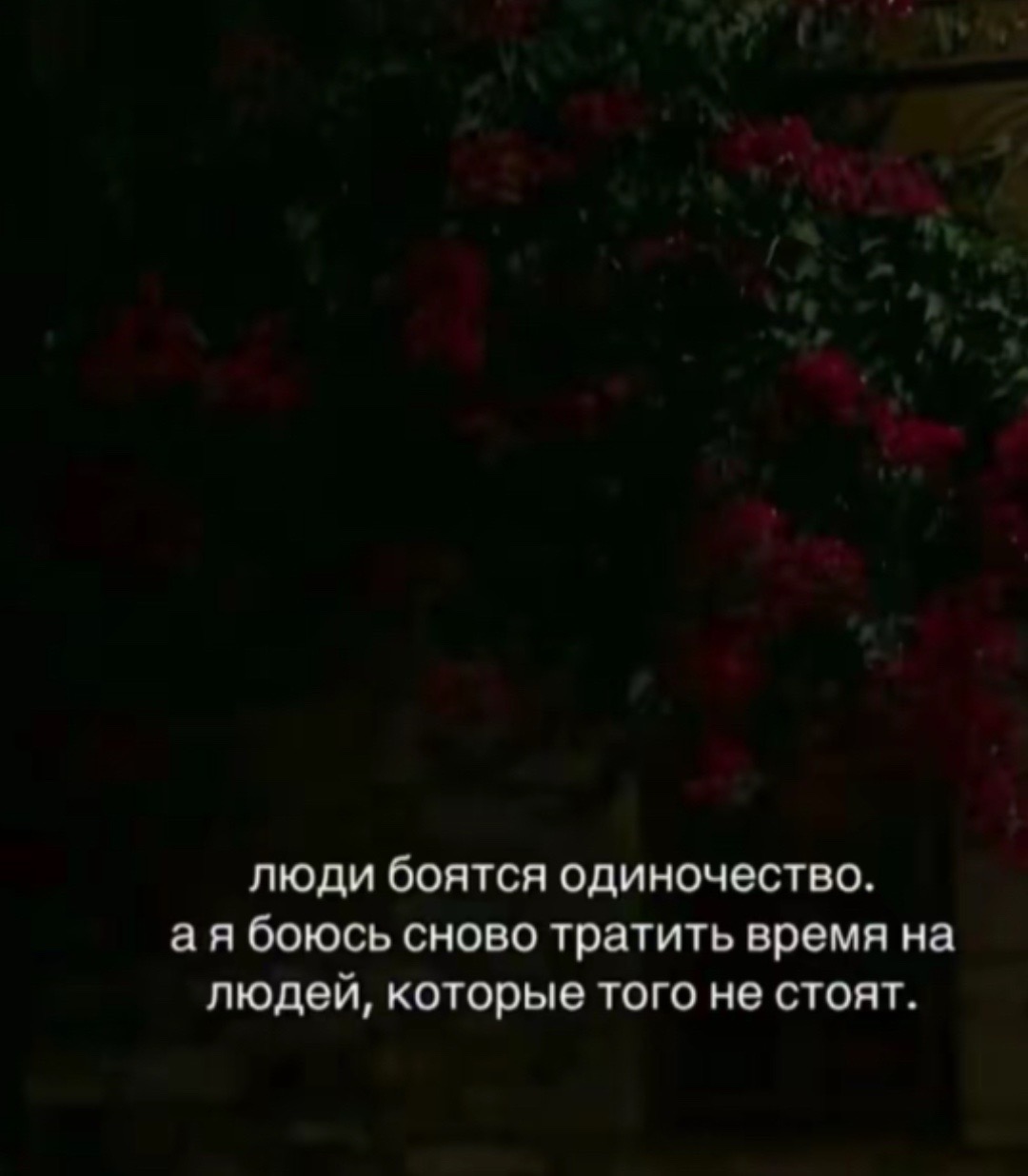 @Mahmudova
