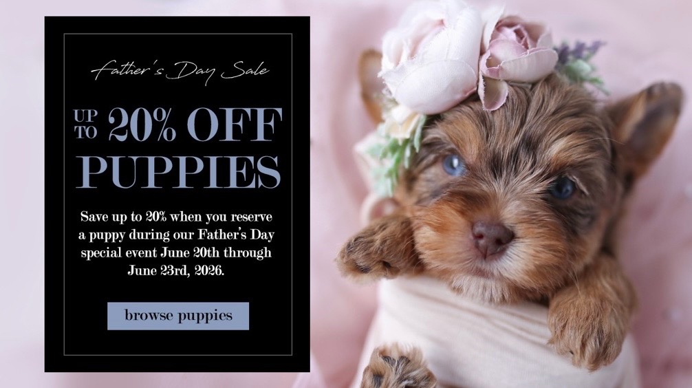 @TeaCups, Puppies & Boutique &reg;️