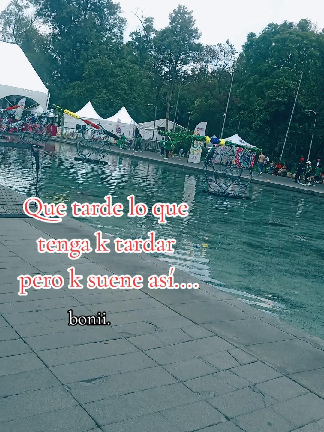 @paubonii