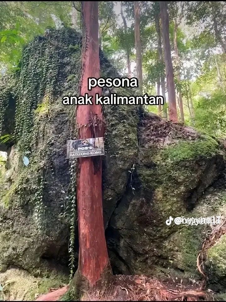 @rkyy