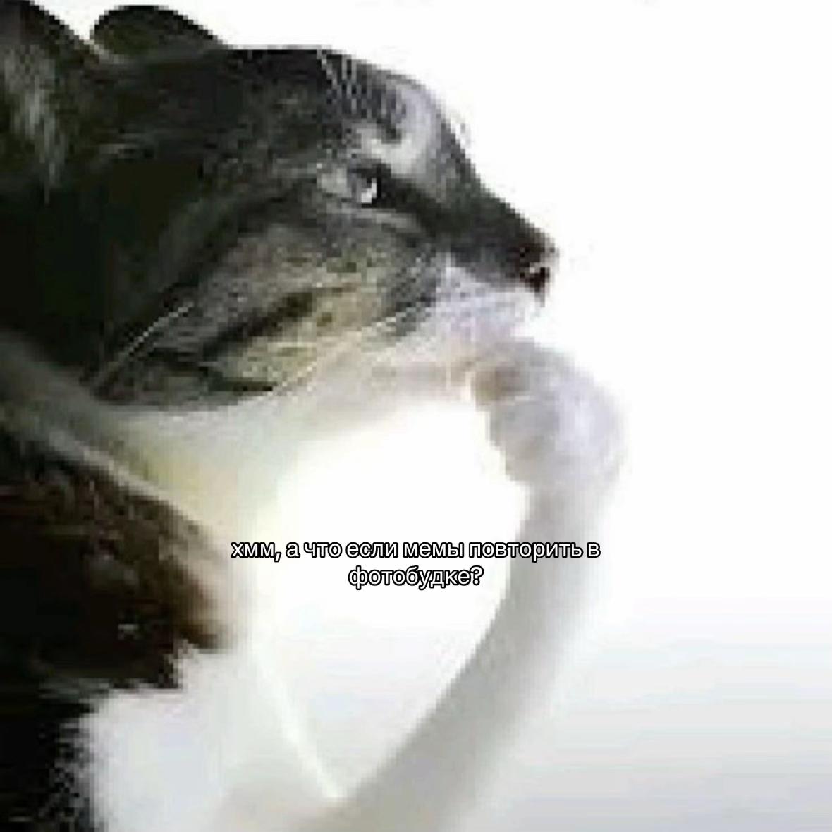 @подлецу всё к лицу