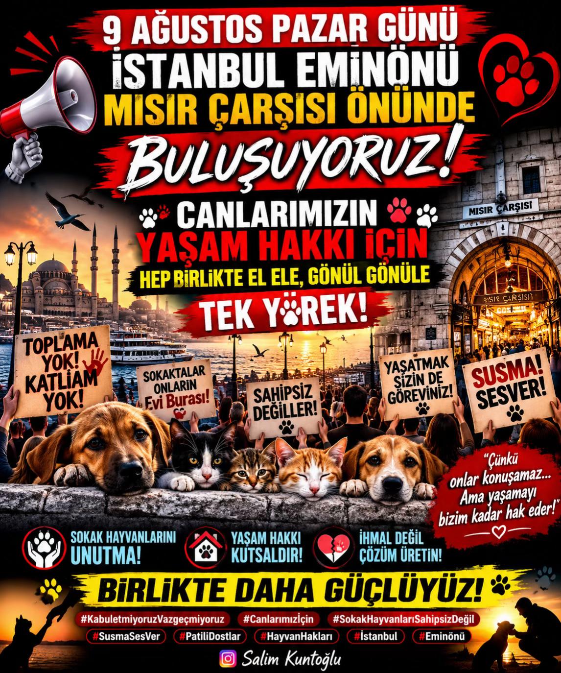@Salim Kuntoğlu