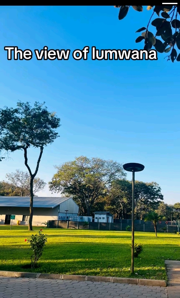 @bila🤩😍