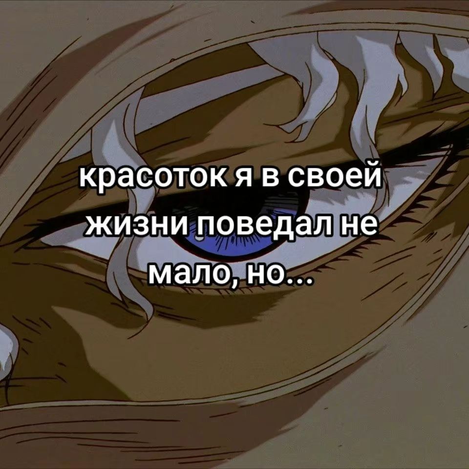 @Drag Paradise