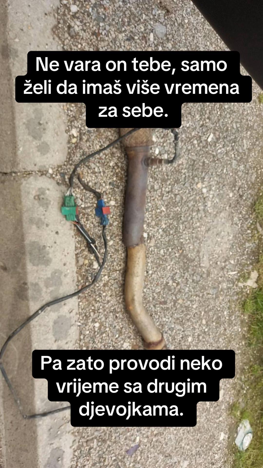 @Daždevnjak