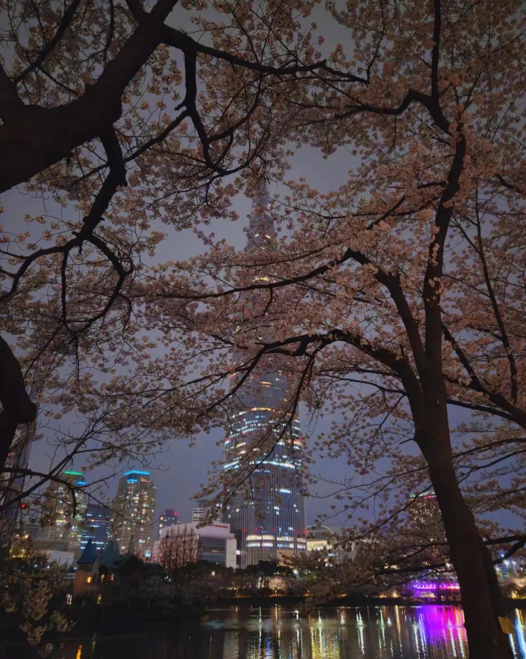 @독싸 &bull; 개인 트레이더