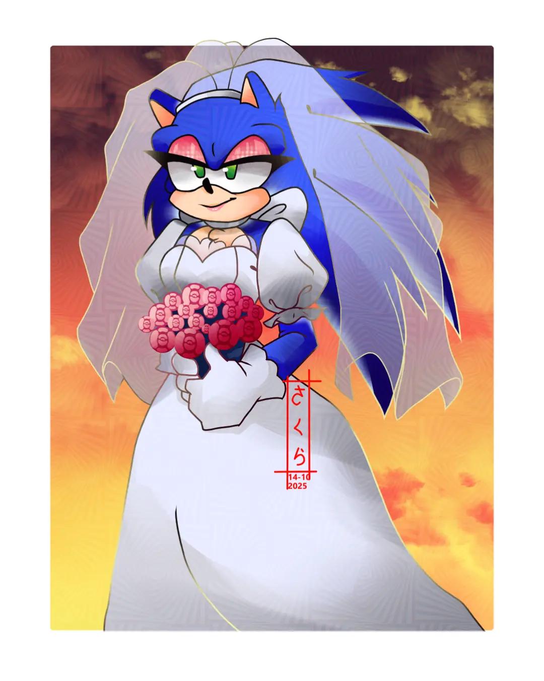 @sonadow.03