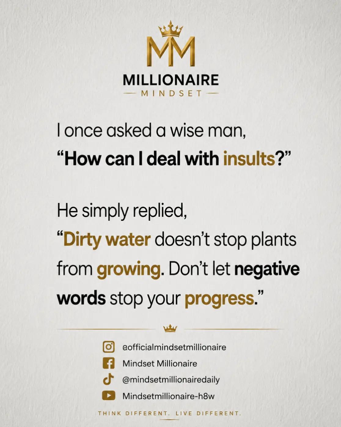 @Mindset Millionaire