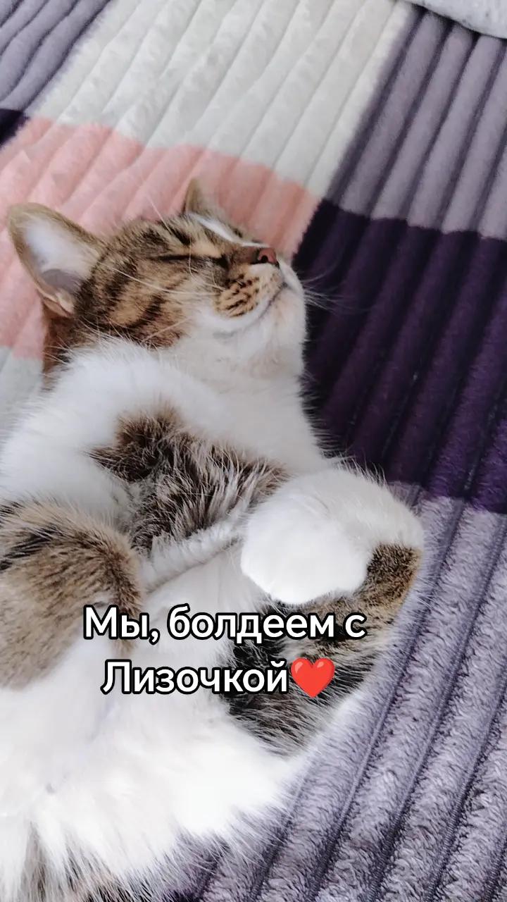 @&hearts;️МАЛЕНЬКАЯ &hearts;️