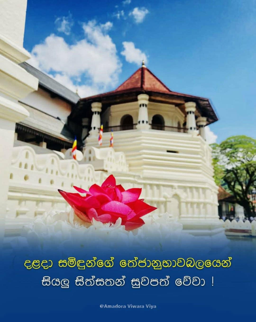 @prasanna
