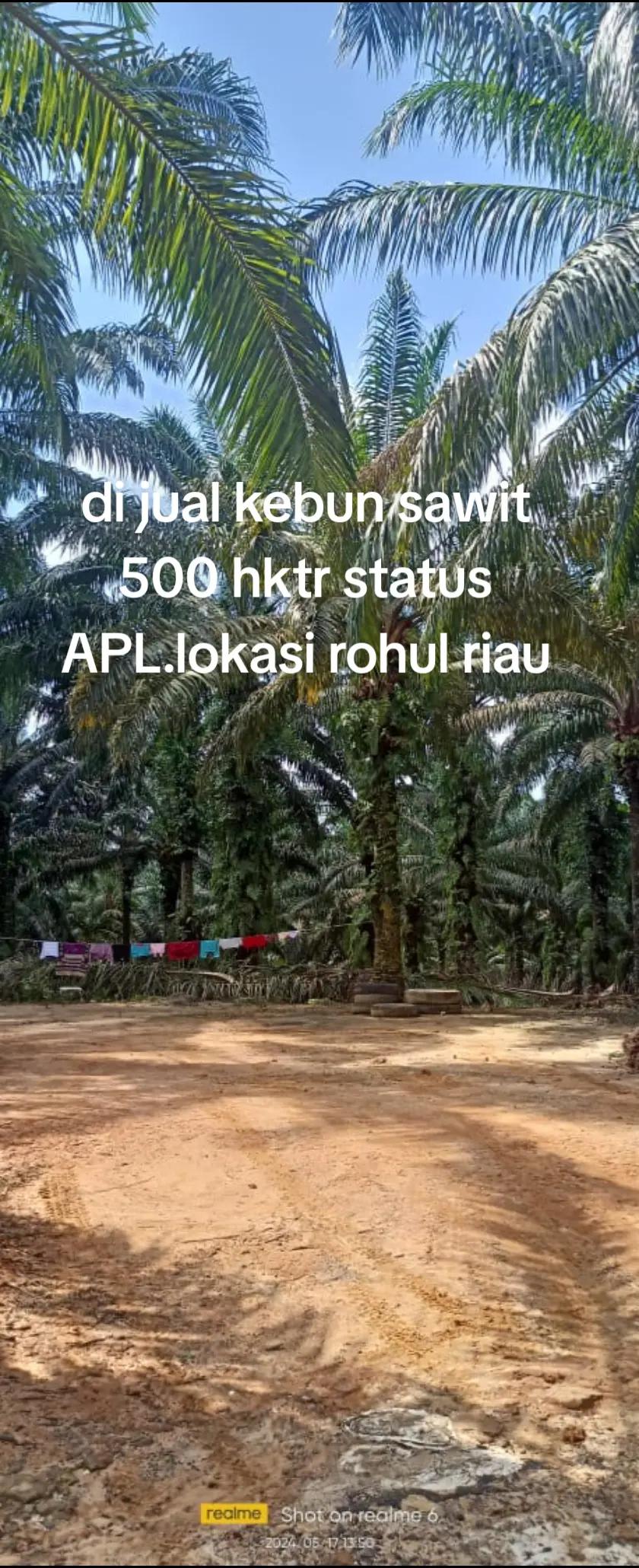 @duo property pku