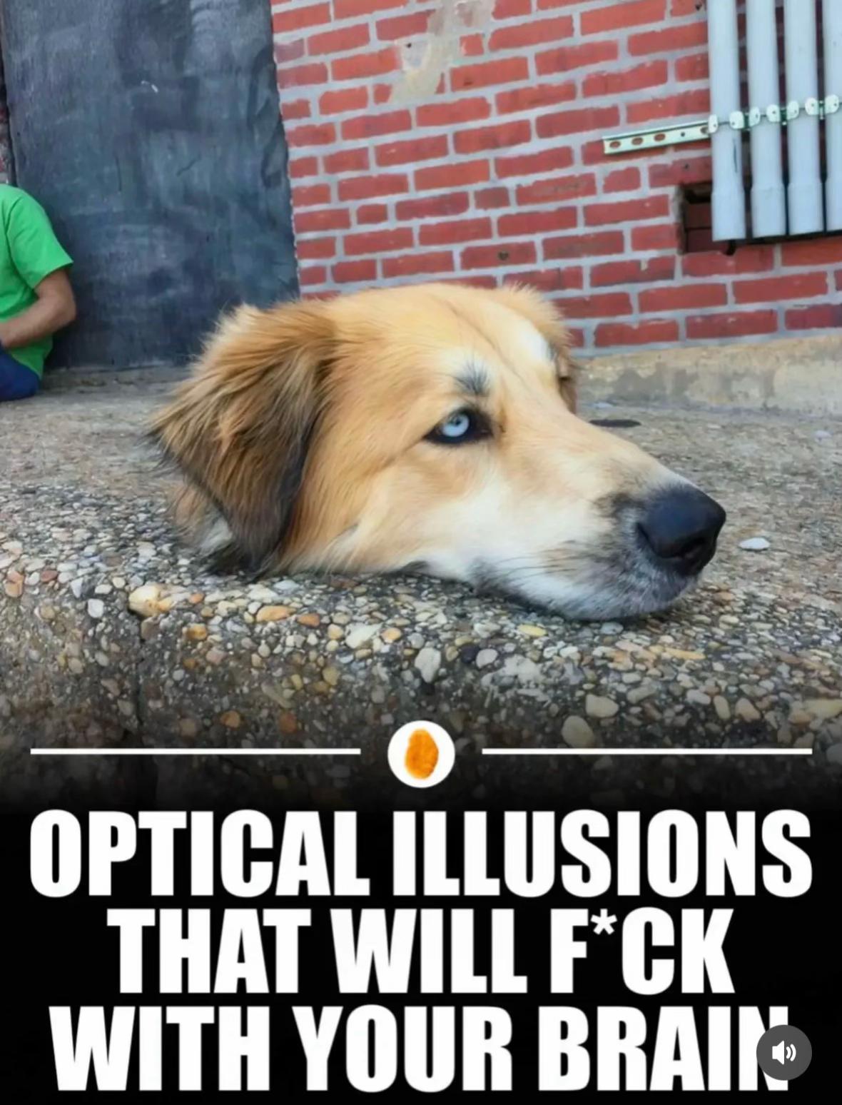 @Tom