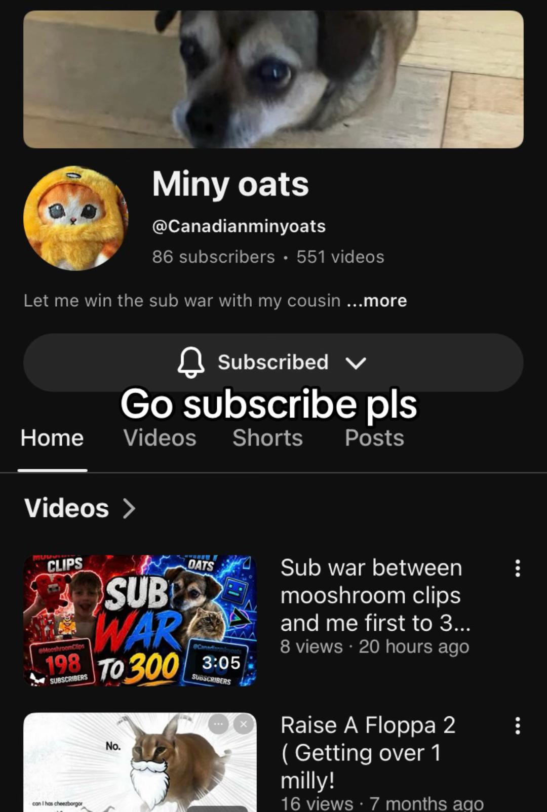 @hi