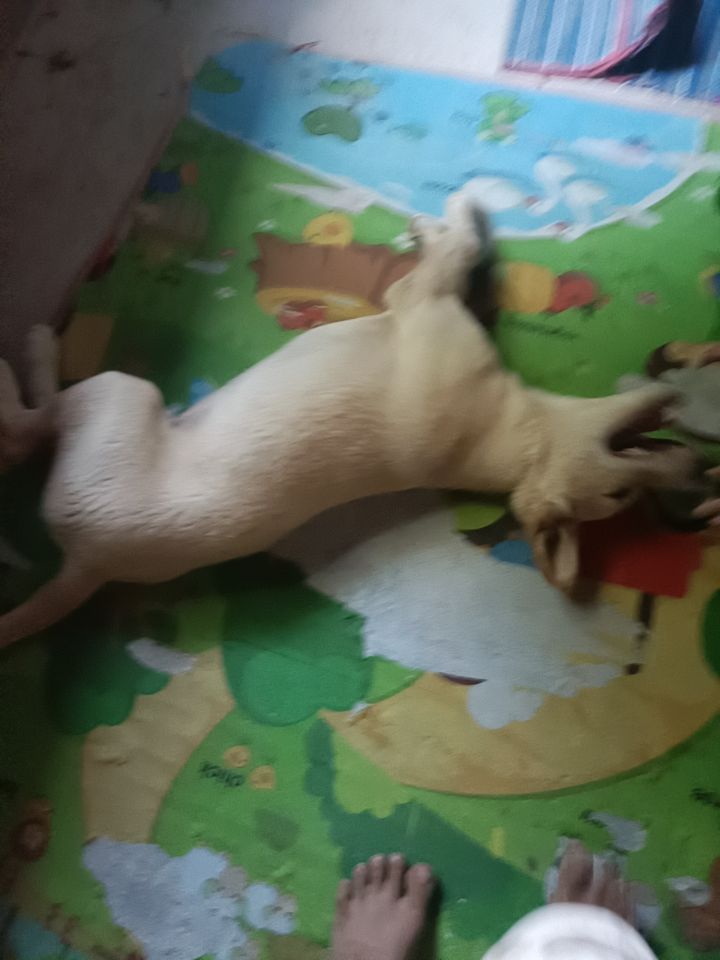 @นับตังค์