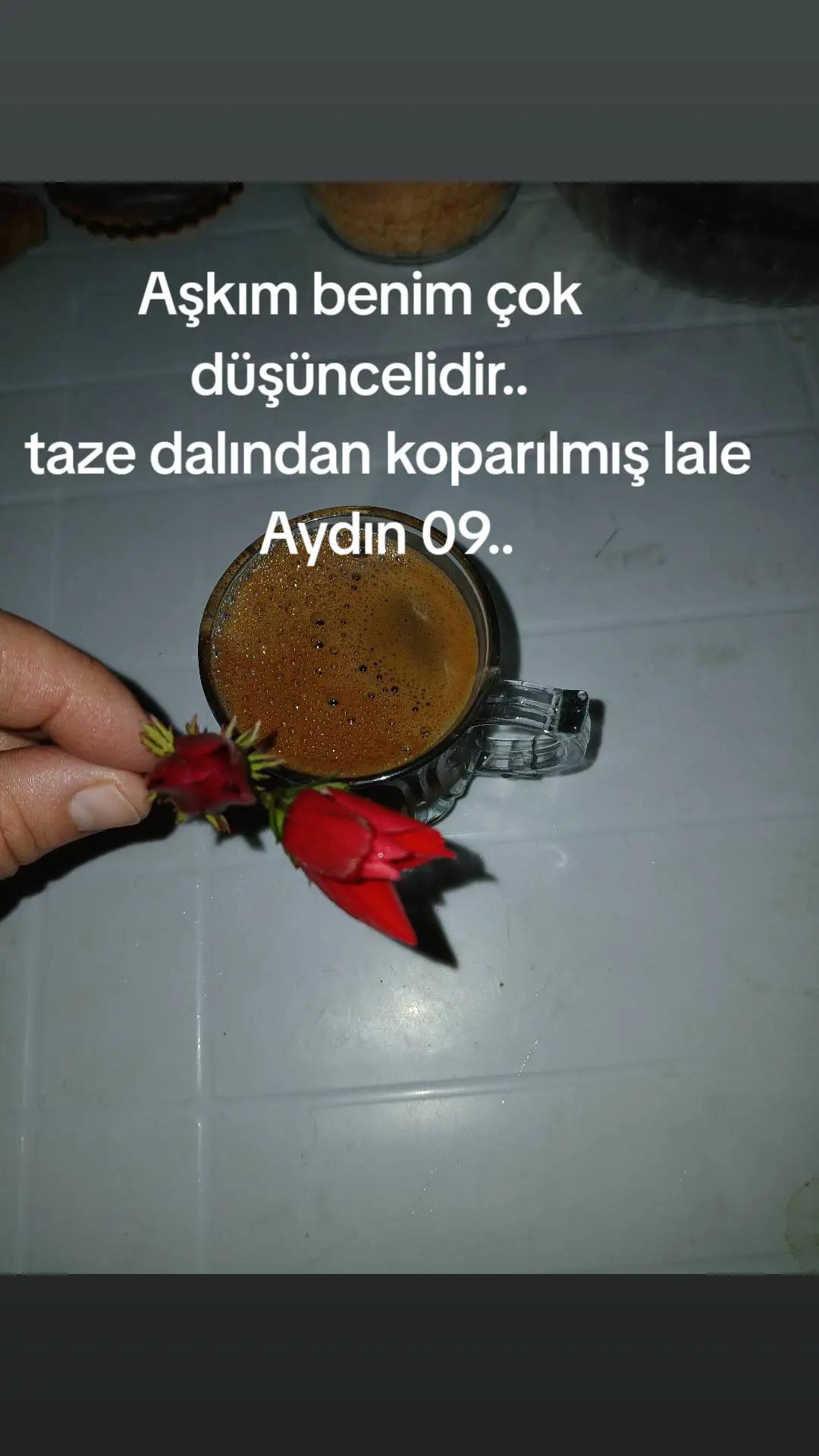 @Türkan Şen