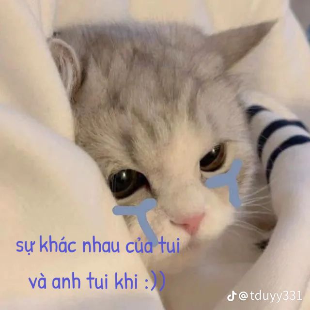 @𓆩♢/CROP♢/𓆪