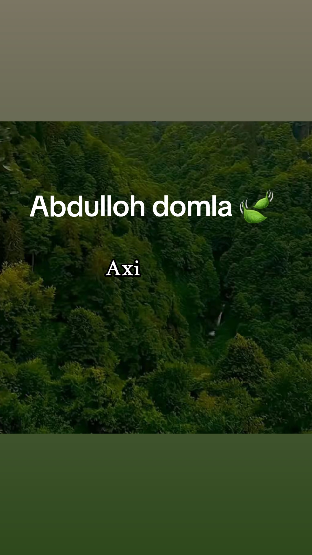 @Axi
