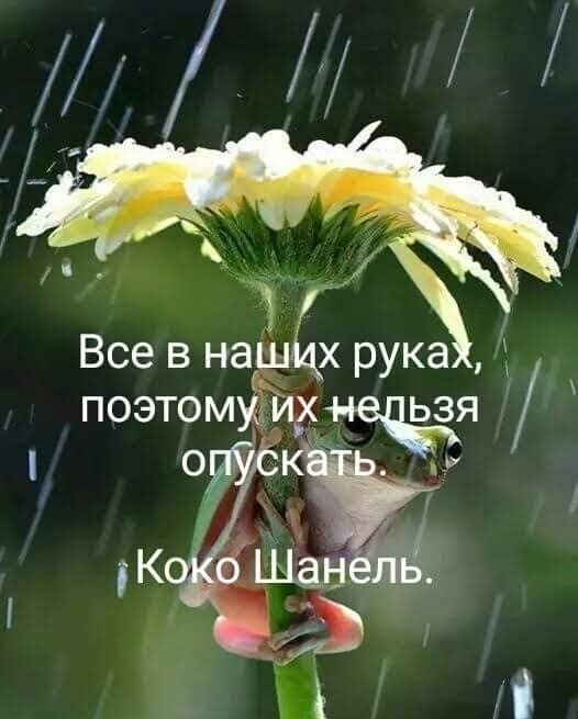 @❌🐯ЛЮДМИЛАБелоковаленко♒♥️