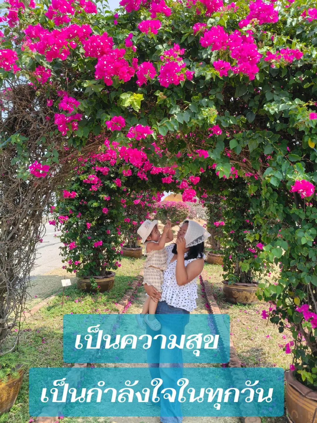 @สุจิตตรา ไชยสงค์