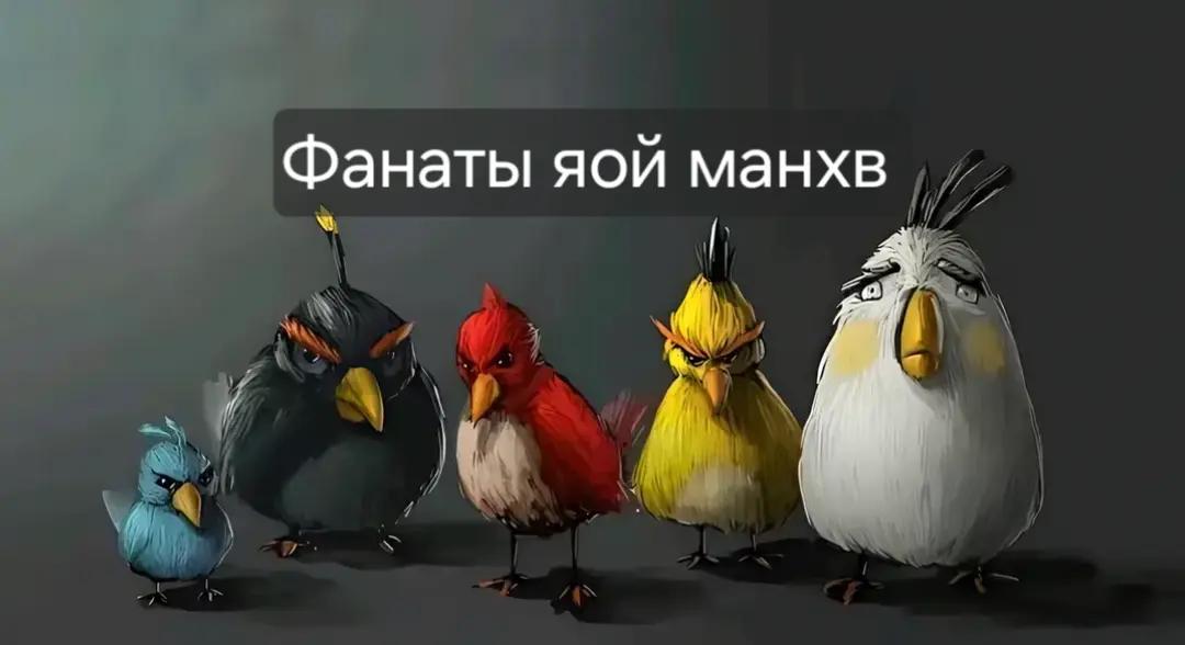 @ᅠᅠ𝅄 ་ .𝓠fj ͜ⱺ𝓽𝗋yh ᨦ . ۟