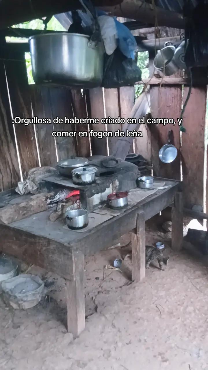@阿德利&middot;桑切斯