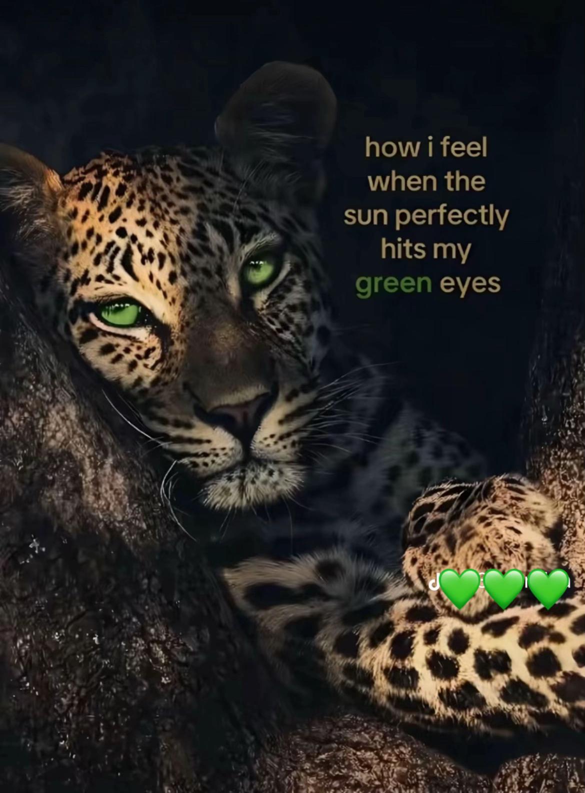 @🍒🐍_𝖓𝖎𝖈𝖔𝖑𝖊_🐍🍒
