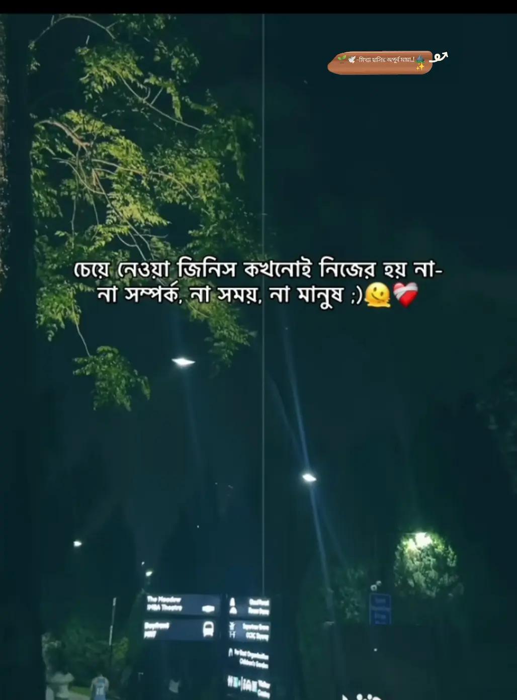 @মিথ্যা হাসির অপূর্ব মায়াツ🌿