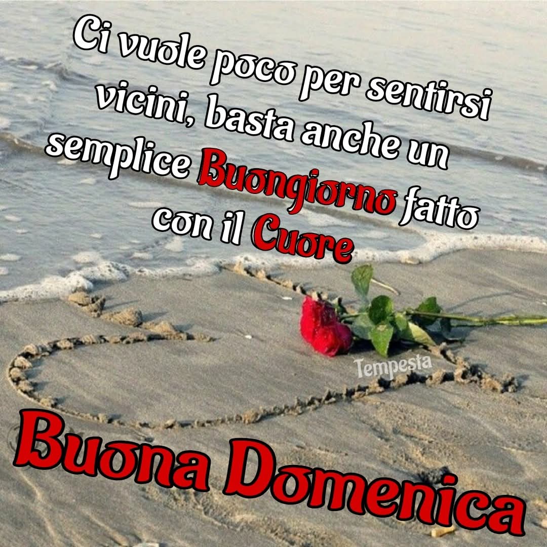 @raffaelladamiani20