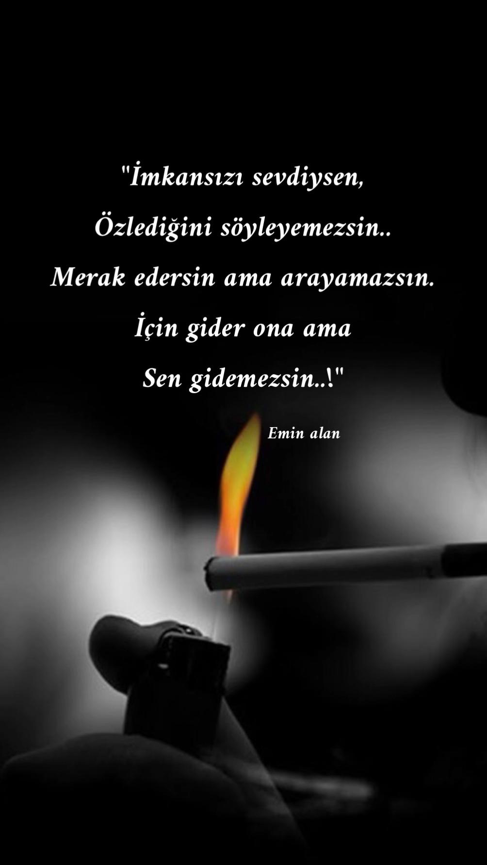 @Emin Alan