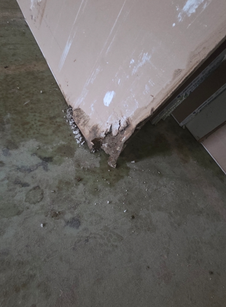 @dragondrywallltd