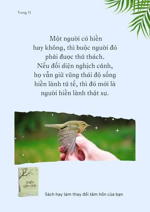 @Mỹ Phẩm Mới 68