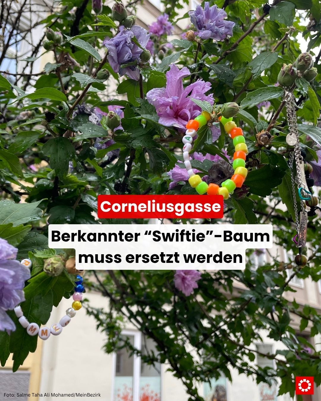 @MeinBezirk Wien
