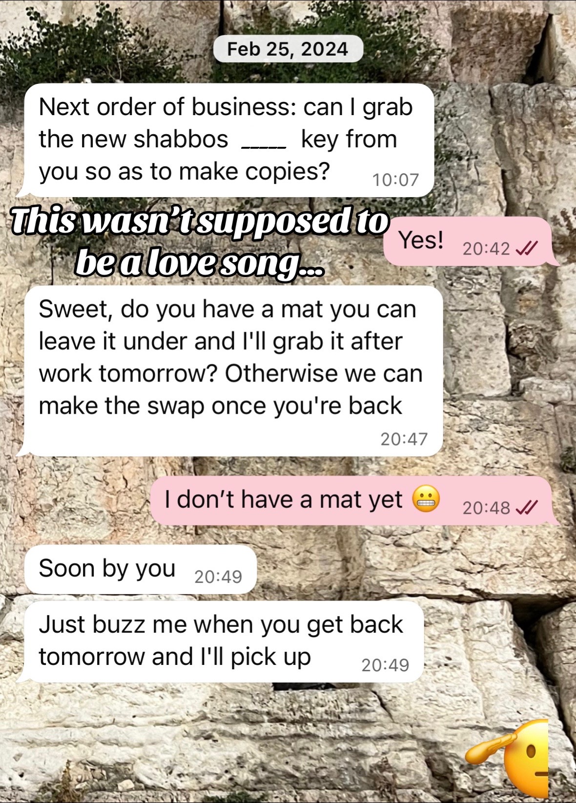 @✡️ חיה זיסל✡️