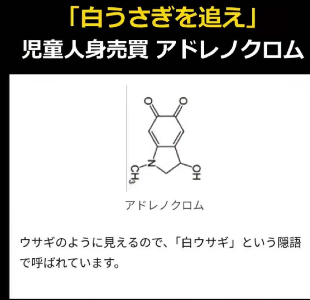 @ニンニク