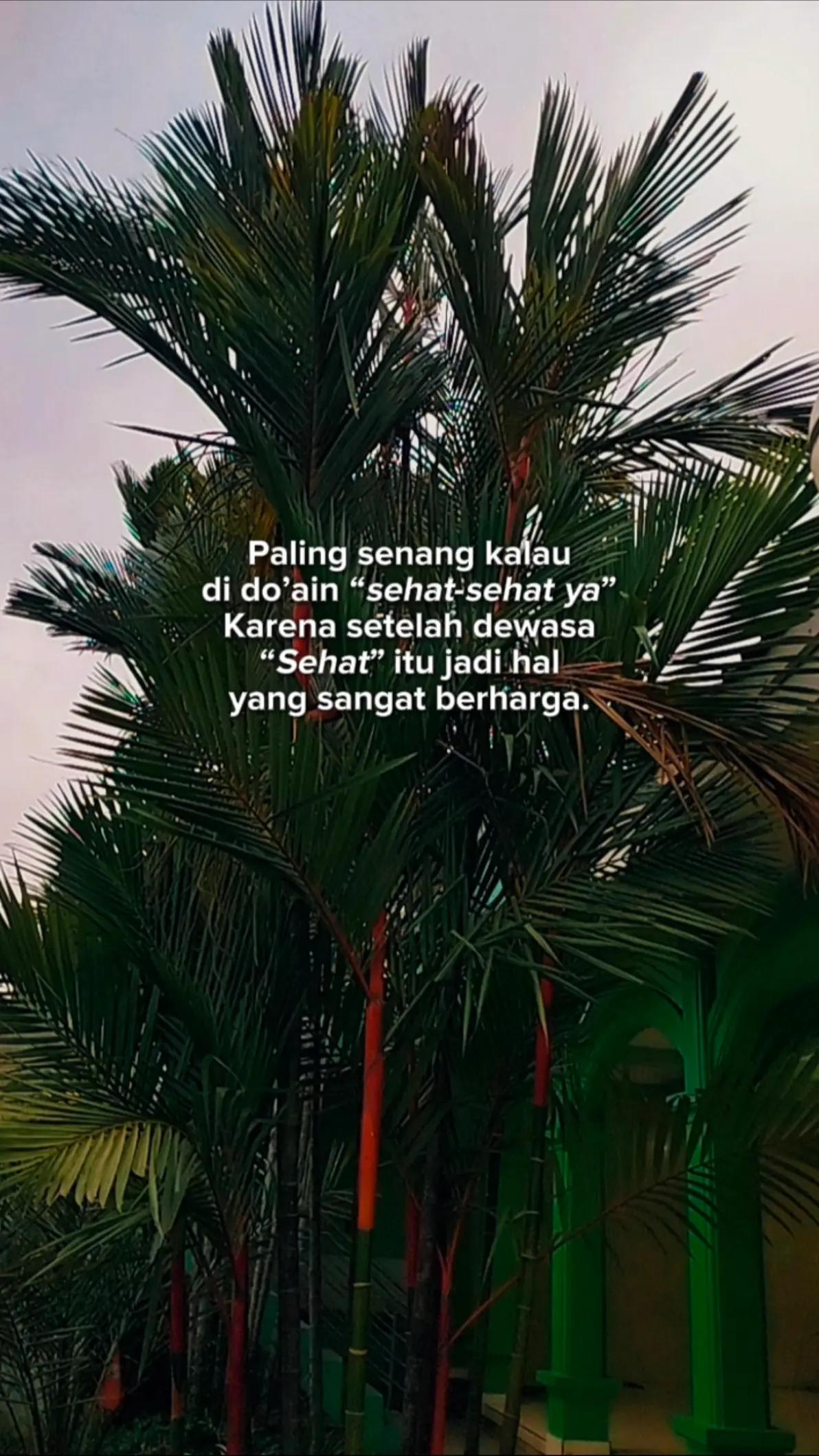 @ₐₙᵢQₑᵢₛₐ