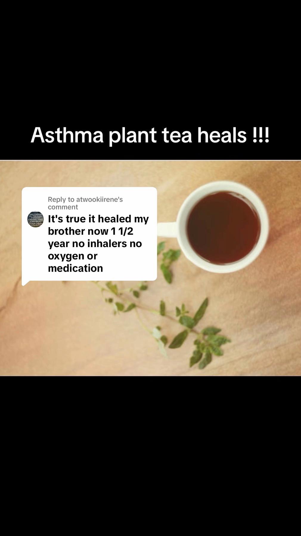 @Asthma-plant_herbalshop