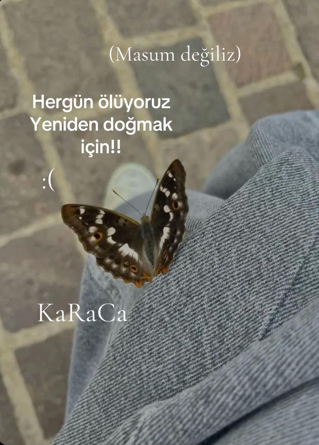 @KaRaCa