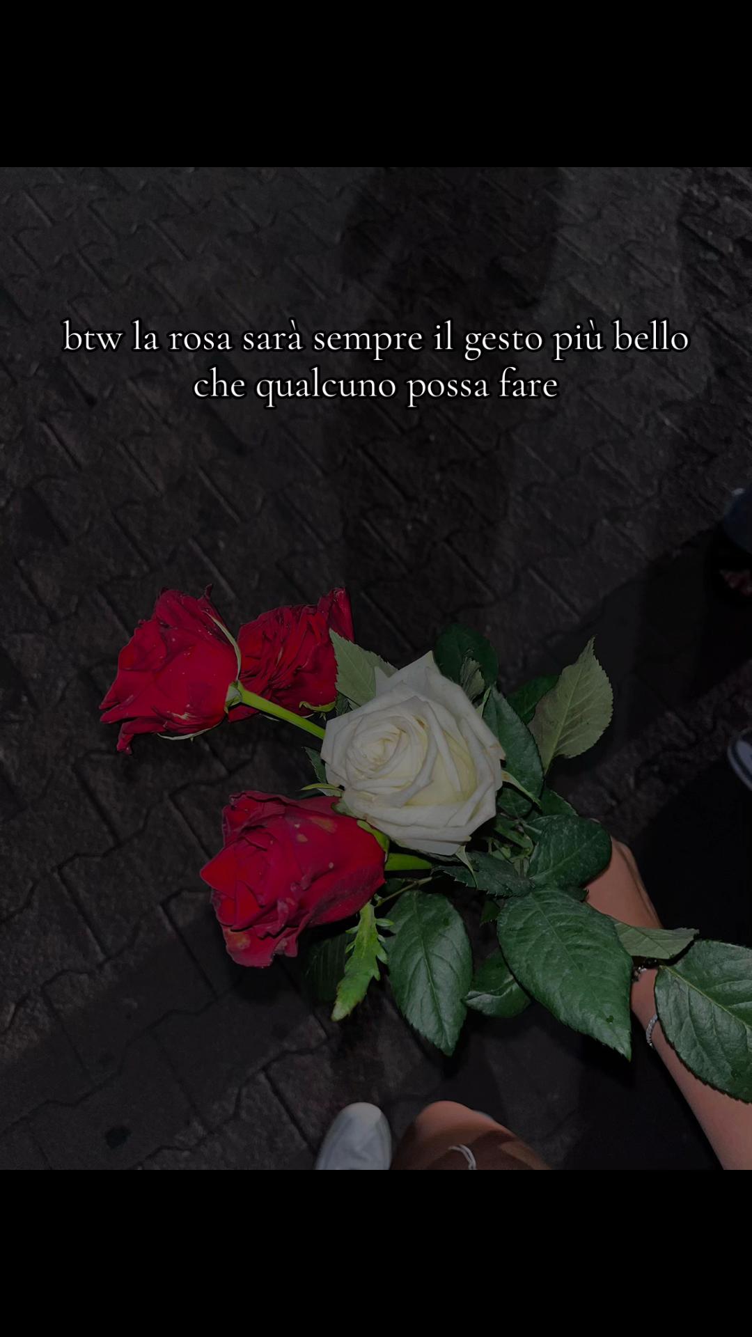 @claudia___spamm