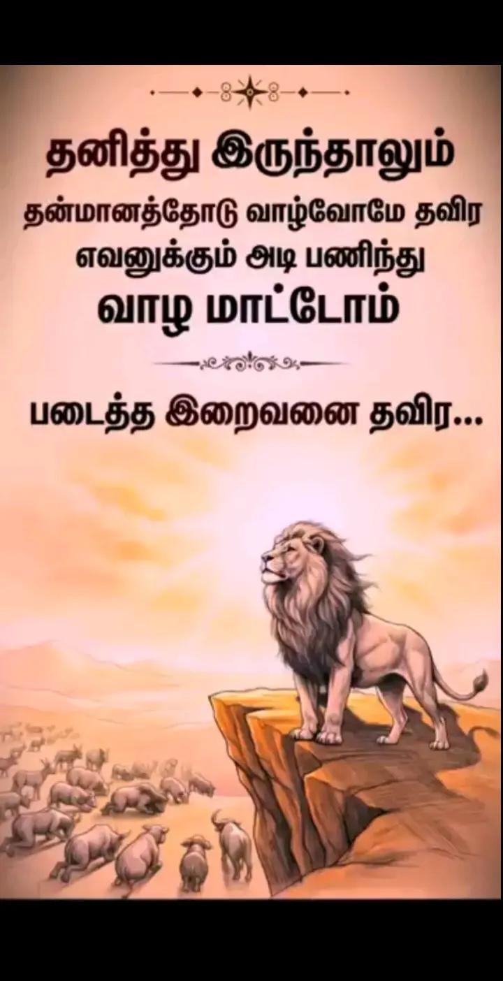@user35065586394432