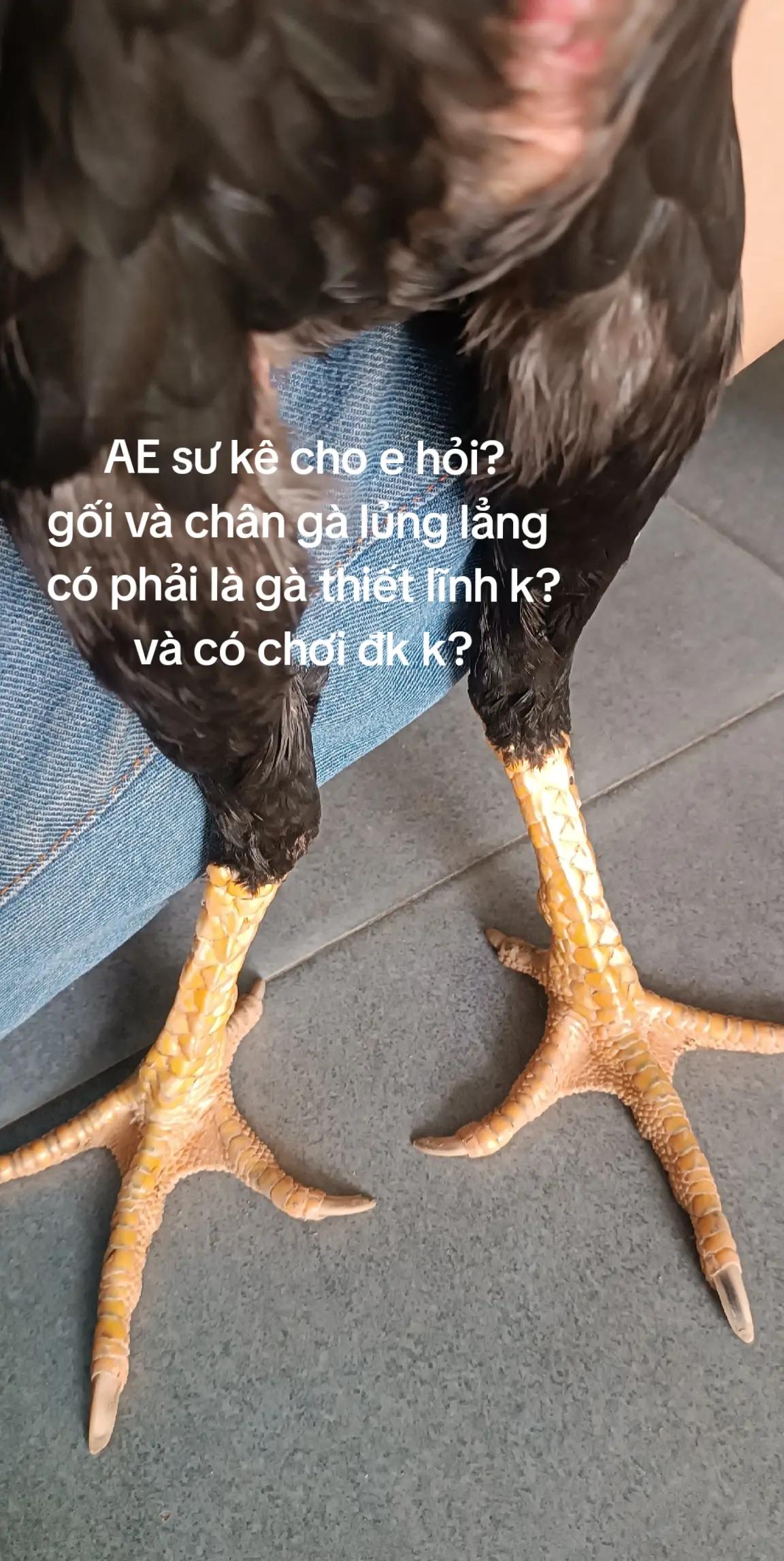 @Tổng Sỉ Huân Hường Thổ Tang