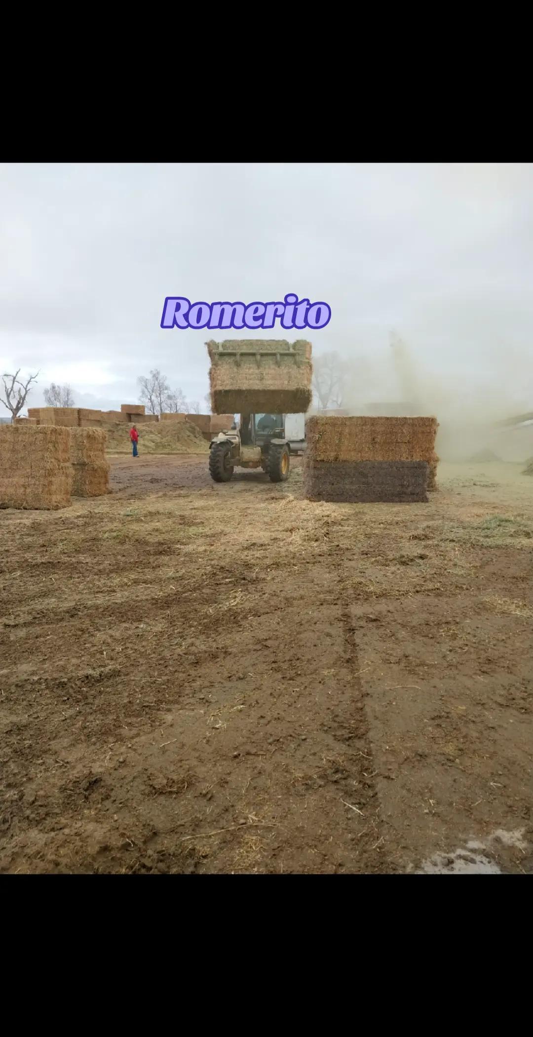 @🫂Romerito 06🛫🌎🇵🇪🇺🇲