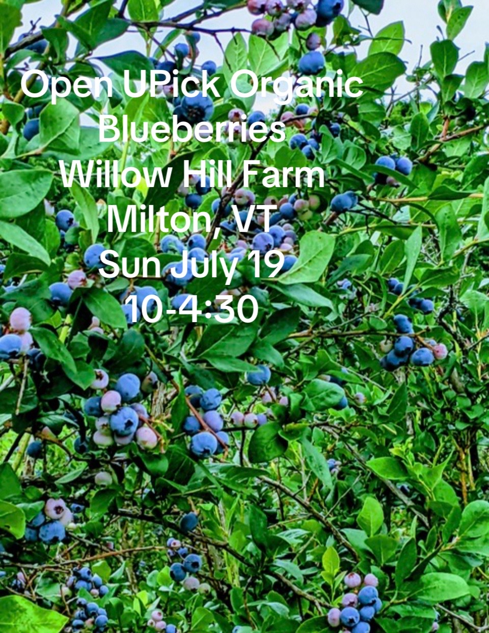 @Willow Hill Farm